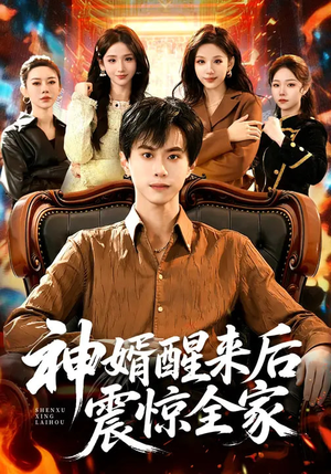 神婿醒来后震惊全家（80集）小短剧推荐