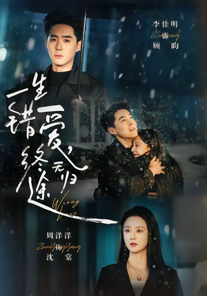 一生错爱，终无归途（74集）精彩短剧来袭