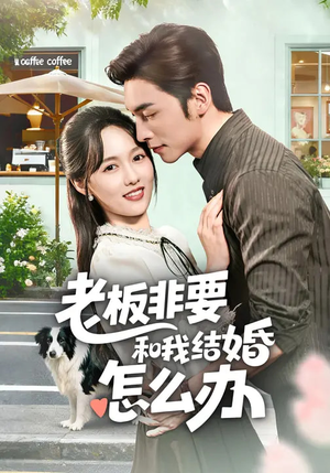 老板非要和我结婚怎么办（50集）精彩短剧合集