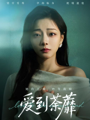 爱到荼蘼（63集）甜宠短剧推荐