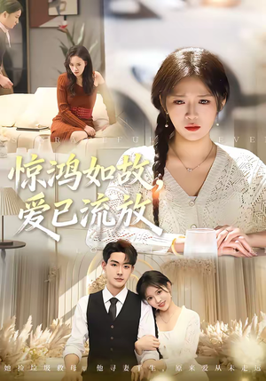 惊鸿如故，爱已流放（81集）更新时间一览表