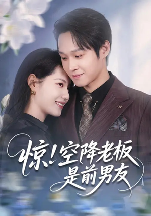 惊!空降老板是前男友(65集) 惊!空降老板是前男友(65集)熬夜追短剧