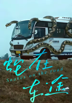 蛇在车途(34集) 蛇在车途(34集)大结局太过瘾了