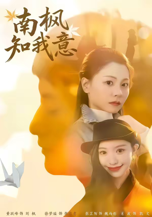 南枫知我意（41集）短剧片段分享