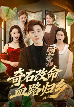 奇石改命血路归乡（81集）常回家看看短剧