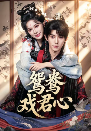 鸳鸯戏君心（60集）我真的爱了