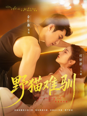 野猫难驯（73集）抢先看新短剧