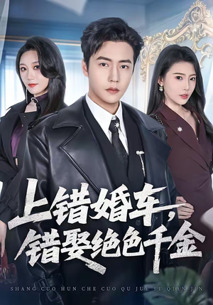 上错婚车，错娶绝色千金（80集）全集下载
