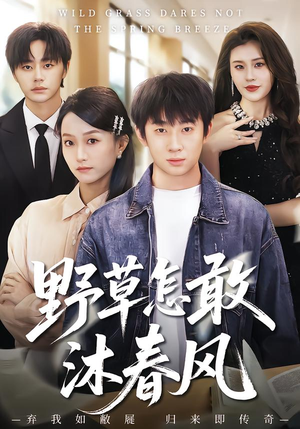 野草怎敢沐春风（61集）不用花钱看全剧