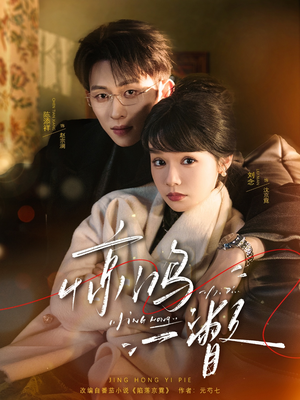 惊鸿一瞥（72集）在线看到大结局