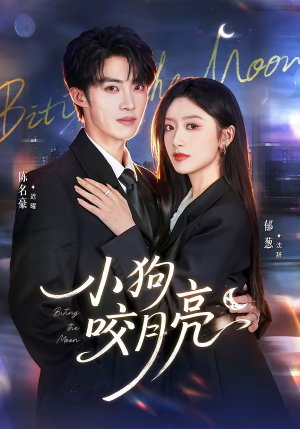 小狗咬月亮（66集）超火热门短剧