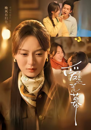 爱意荒幕（70集）短剧每日分享