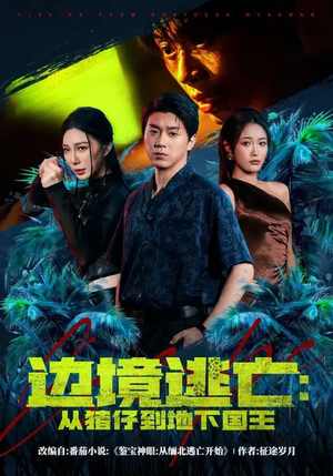 边境逃亡:从猪仔到地下国王(81集) 边境逃亡:从猪仔到地下国王(81集)看精彩短剧