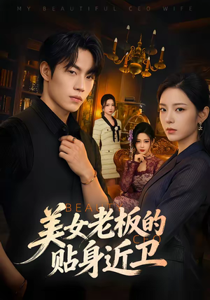 美女老板的贴身近卫（60集）360网盘观看