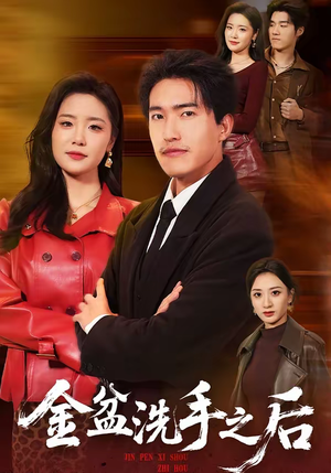 金盆洗手之后（62集）在哪看