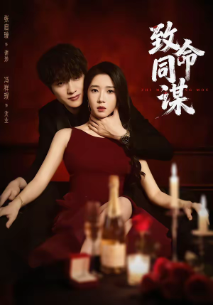 致命同谋（63集）全集在线看