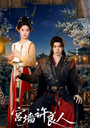 宫墙许良人（67集）百度网盘资源
