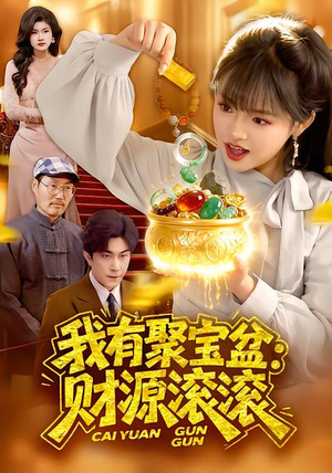 我有聚宝盆:财源滚滚(101集) 我有聚宝盆:财源滚滚(101集)不用花钱看全剧