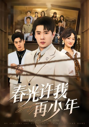 春光许我再少年（79集）免费看