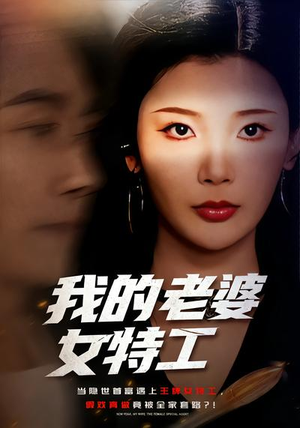 我的老婆女特工（62集）短剧热播抢先看