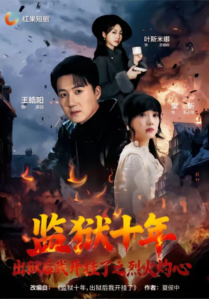 监狱十年，出狱后我开挂了之烈火灼心（80集）短剧小说在线看