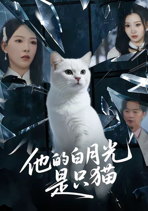 他的白月光是只猫（69集）短剧热播中