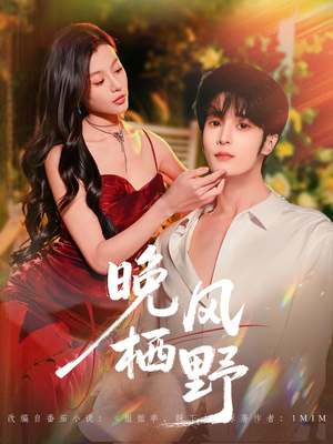 晚风栖野（80集）怎么看全集