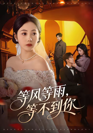 等风等雨,等不到你(65集) 等风等雨,等不到你(65集)在线观看全集