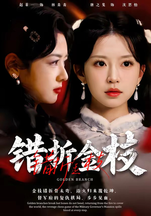 错折金枝（46集）精彩的短剧