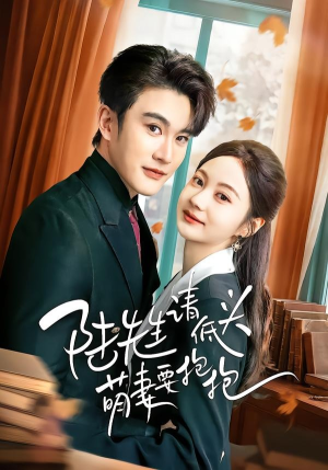 陆先生请低头萌妻要抱抱（51集）好看上头的短剧