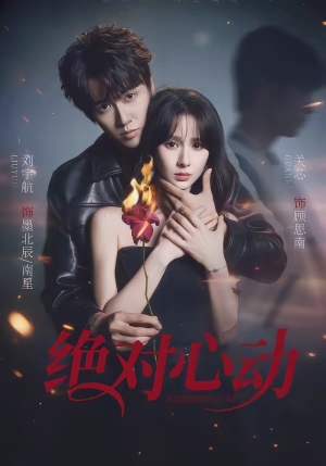 绝对心动（66集）短剧越看越精彩