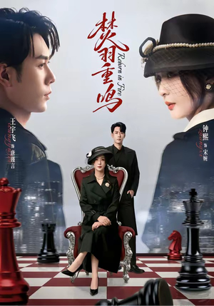 焚羽重鸣（60集）这短剧太好看了