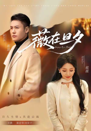 薇在旦夕(80集) 薇在旦夕(80集)全集完整版