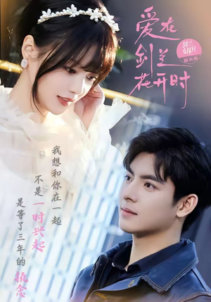 爱在剑兰花开时（56集）女频短剧推荐