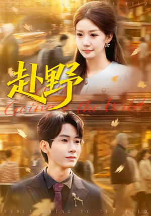 赴野（40集）最新热剧免费看