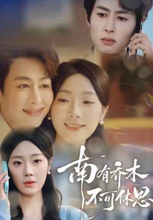 南有乔木，不可休思（68集）真的太好看了