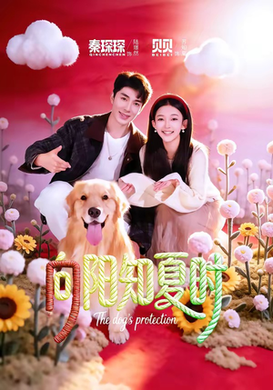 向阳知夏时（80集）哪个网站可以看