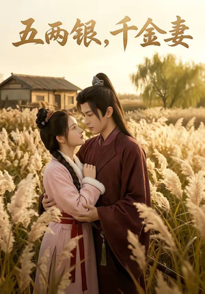 五两银，千金妻（60集）短剧每日分享