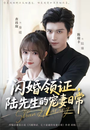 闪婚领证，陆先生的宠妻日常（86集）在线免费观影