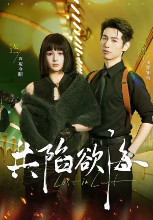 共陷欲海（66集）怎么看全集