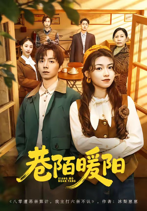 巷陌暖阳（80集）去哪里看