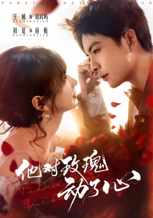 他对玫瑰动了心（68集）1-102集