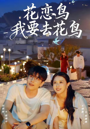 花恋鸟我要去花鸟（60集）经典老剧免费看