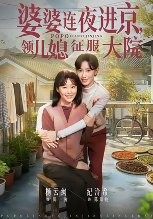 婆婆连夜进京，领儿媳征服大院（78集）精彩片段