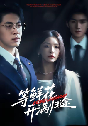 等鲜花开满归途（61集）网盘在线观看