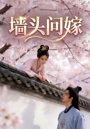 墙头问嫁（29集）一口气看完全集