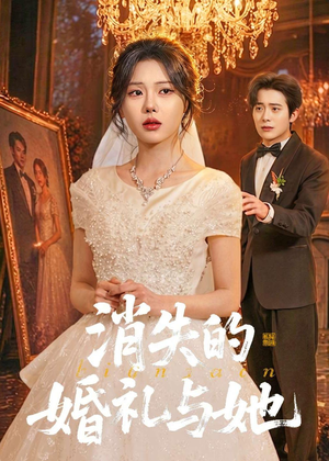 消失的婚礼与她（70集）迅雷网盘观看