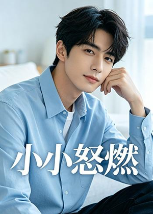 小小怒燃（19集）短剧越看越精彩
