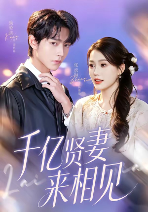 钻石贤妻来相见（72集）短剧