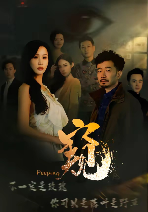 窥伺（37集）迅雷网盘观看